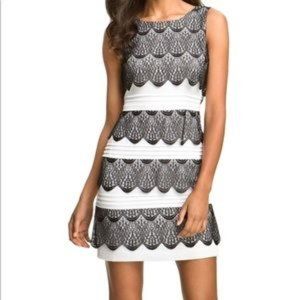 BCBG Lorena Dress sz 2